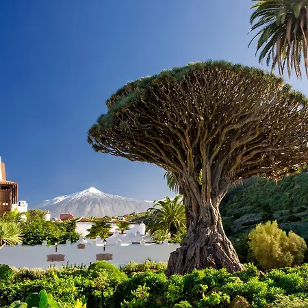 Eden Hermosas Vistas Al Oceano Y Acantilados * 阿坎提拉德洛斯基